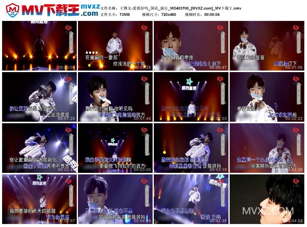 王博文-爱我好吗_国语_流行_MD403700